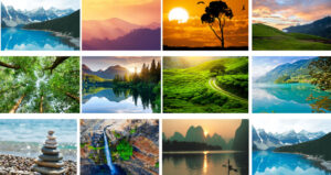 פיד באינסטגרם