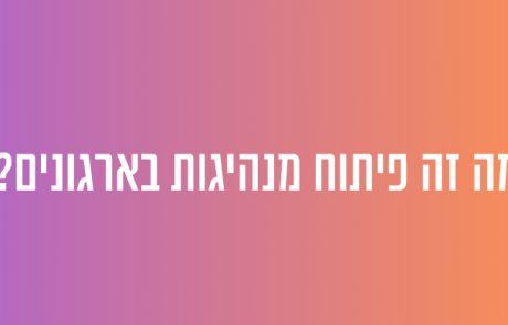 מה זה פיתוח מנהיגות במקום העבודה?